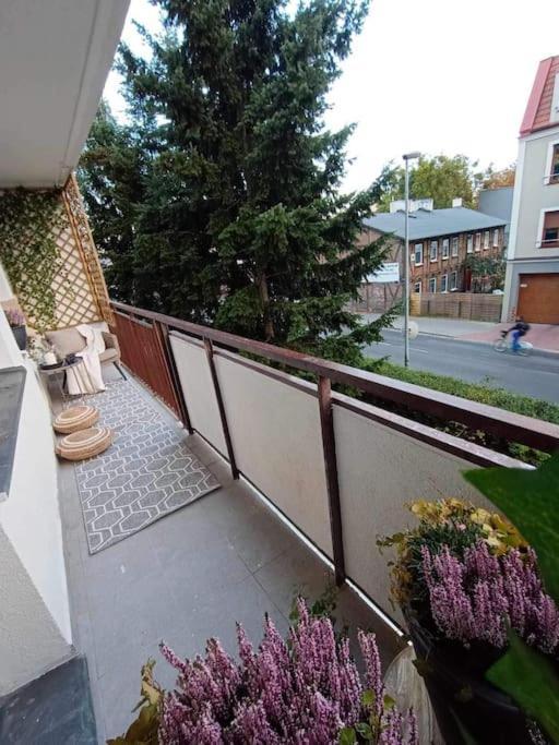 Ferienwohnung Apartament Podgorna 19 Thorn Exterior foto