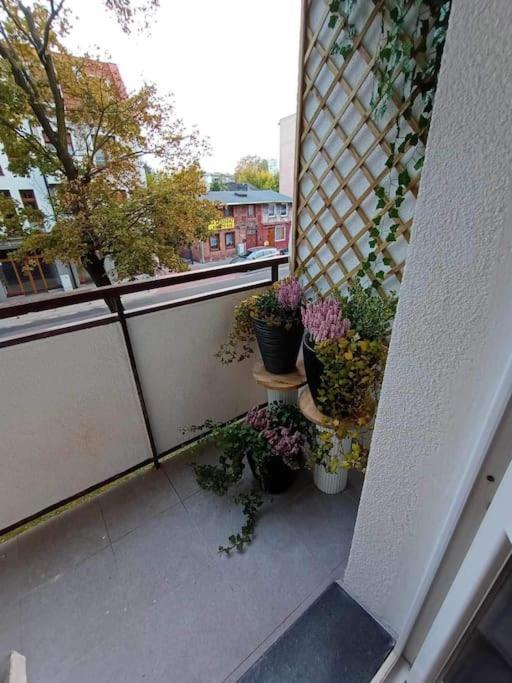 Ferienwohnung Apartament Podgorna 19 Thorn Exterior foto